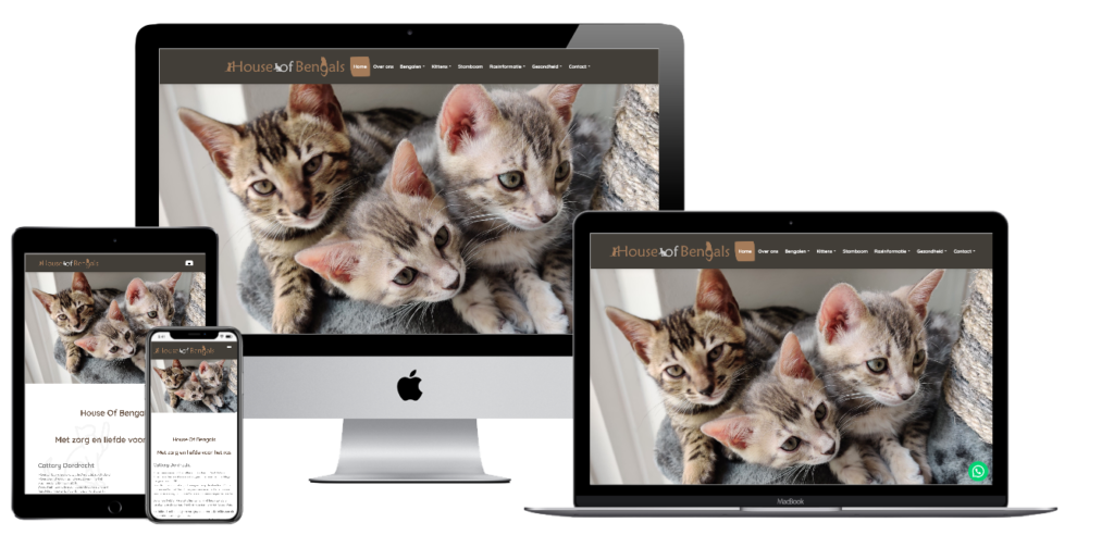 houseofbengals_mockup